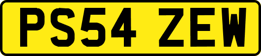 PS54ZEW
