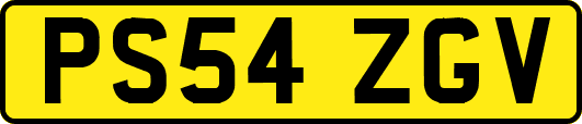 PS54ZGV