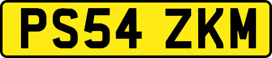 PS54ZKM