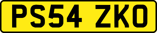 PS54ZKO