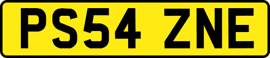 PS54ZNE
