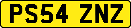 PS54ZNZ
