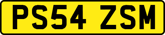 PS54ZSM