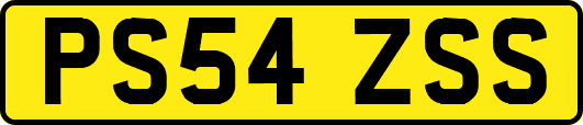 PS54ZSS