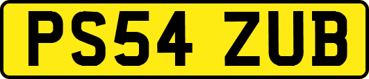 PS54ZUB