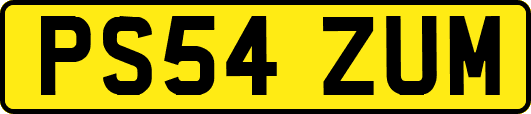 PS54ZUM