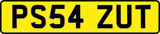PS54ZUT