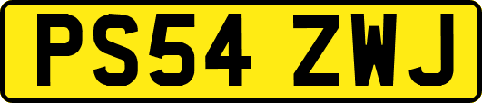 PS54ZWJ