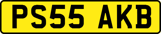 PS55AKB