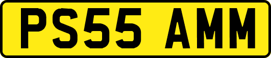 PS55AMM