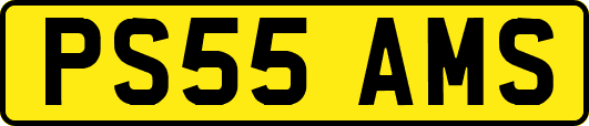 PS55AMS