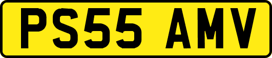 PS55AMV