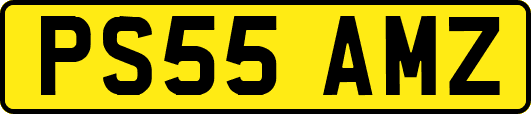 PS55AMZ
