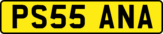 PS55ANA