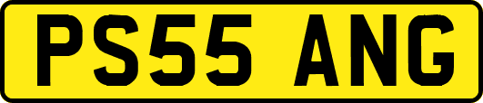 PS55ANG