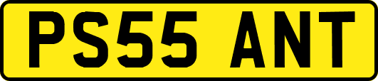 PS55ANT