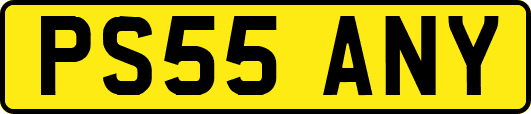PS55ANY