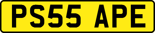 PS55APE