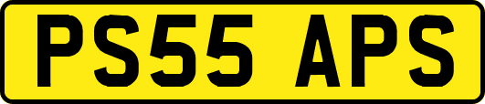 PS55APS