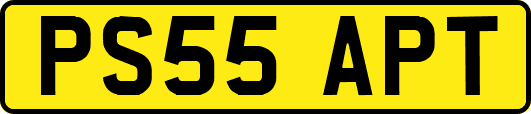 PS55APT