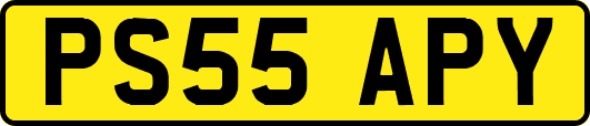 PS55APY