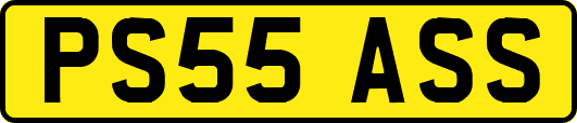 PS55ASS