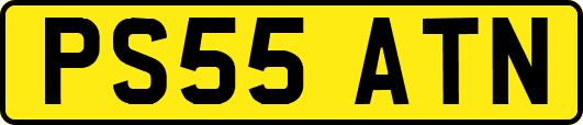 PS55ATN
