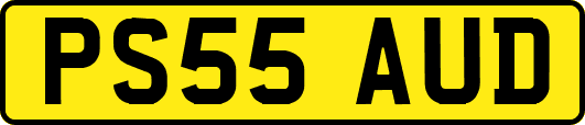 PS55AUD