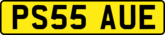 PS55AUE