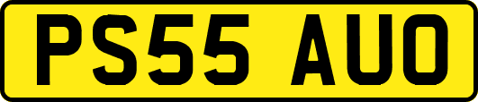 PS55AUO