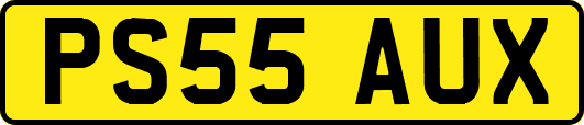 PS55AUX