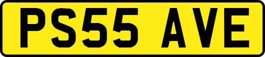 PS55AVE