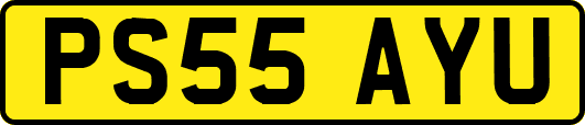 PS55AYU