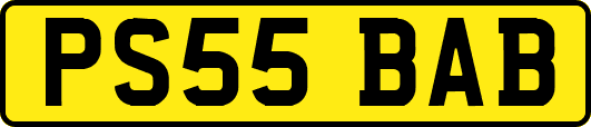 PS55BAB