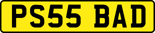PS55BAD