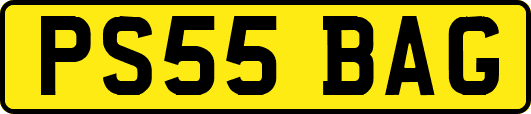 PS55BAG