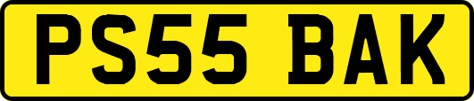 PS55BAK