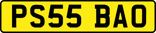 PS55BAO