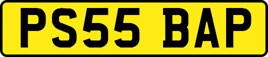 PS55BAP