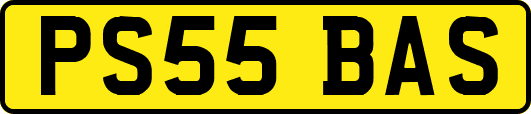 PS55BAS