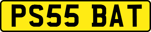 PS55BAT