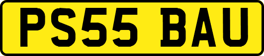 PS55BAU