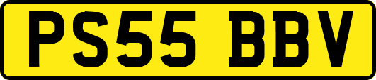 PS55BBV