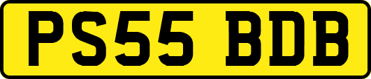 PS55BDB