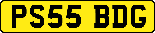 PS55BDG