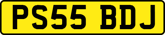 PS55BDJ