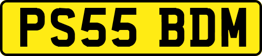 PS55BDM