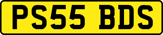 PS55BDS