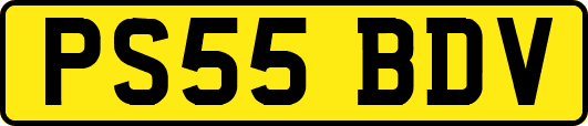 PS55BDV
