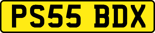 PS55BDX